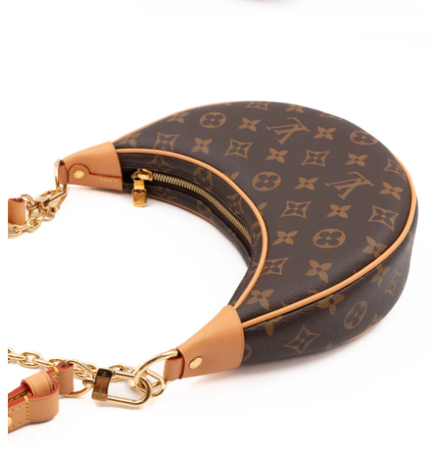 M46311 Hobo Loop Bag Monogram