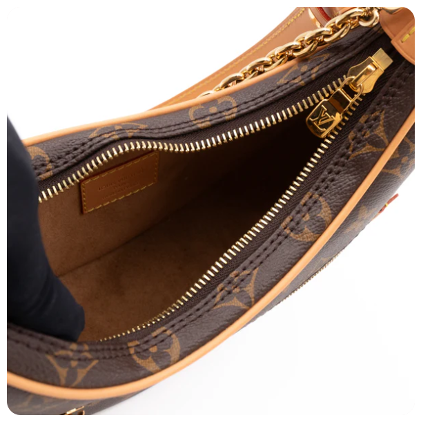 M46311 Hobo Loop Bag Monogram